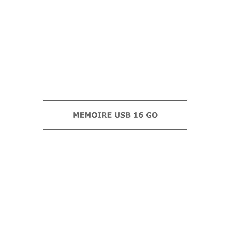 MÉMOIRE USB 16 GO