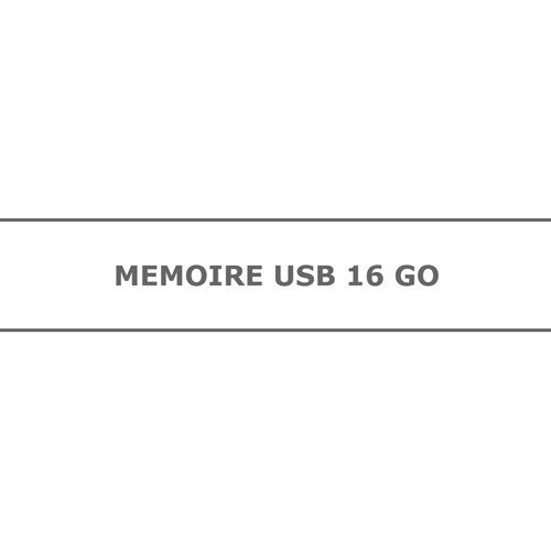 MÉMOIRE USB 16 GO