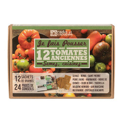 Coffret tomates anciennes