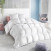 COUETTE PLUMES ET DUVET +  2 OREILLERS