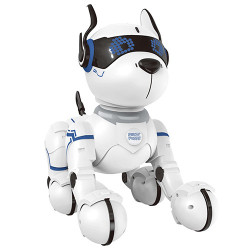 Robot Power Puppy